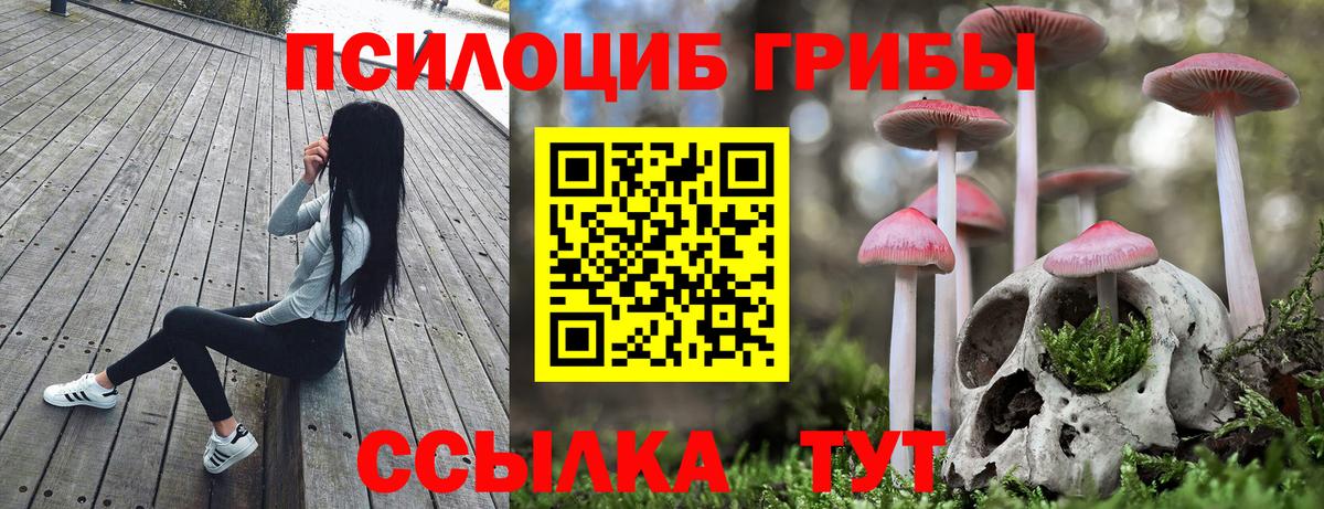 Коломна  Псилоцибиновые грибы Psilocybine cubensis  Вход с VPN 